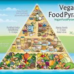 Vegan Diet Plan for Weight Loss Fast