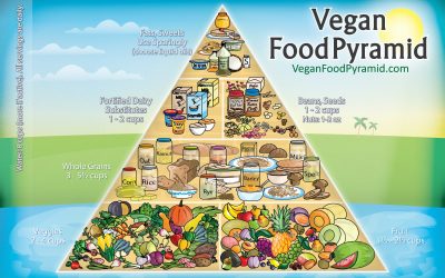 Vegan Diet Plan for Weight Loss Fast