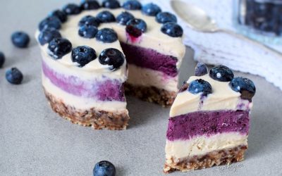 Raw Vegan Blueberry Cheesecake